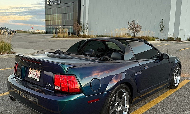 2004 Ford Mustang Co...