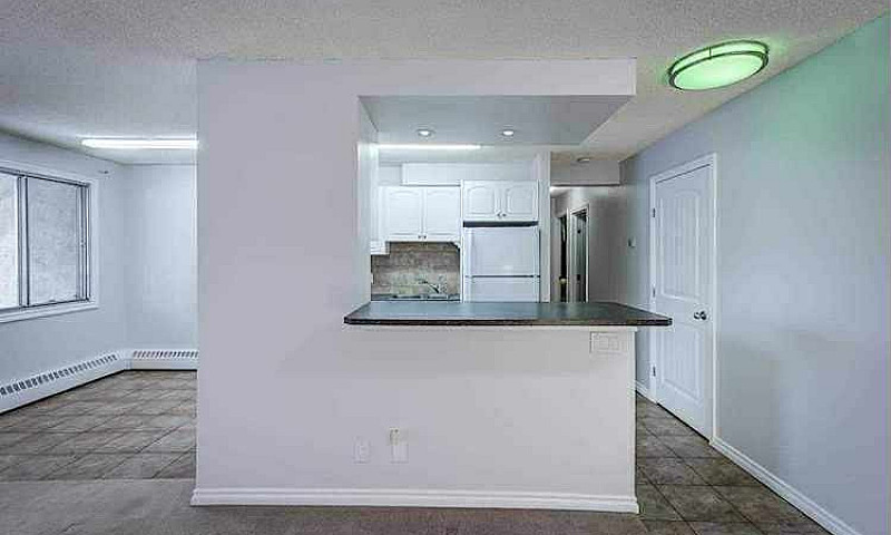 2 Bedroom Apartment ...