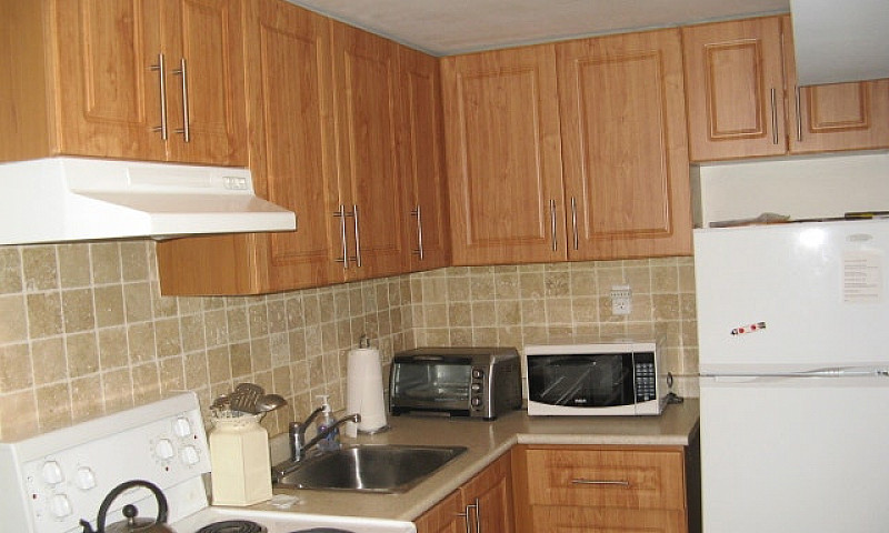 Bright Furnished 1 B...