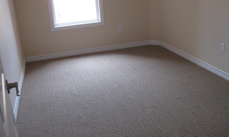  Spacious One Bedroo...