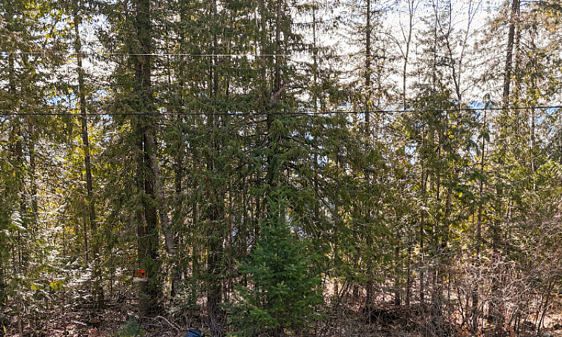 Shuswap Building Lot...