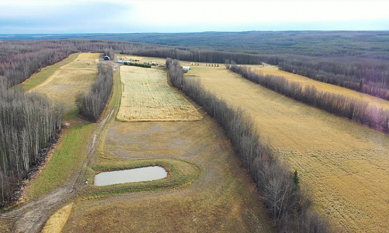 305 Acres Off-Grid F...