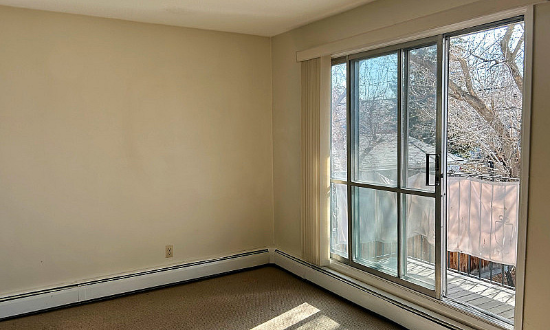 1 Bedroom Apartment ...