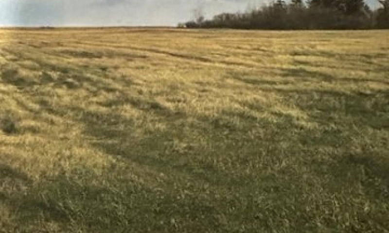 Farm Land For Sale...
