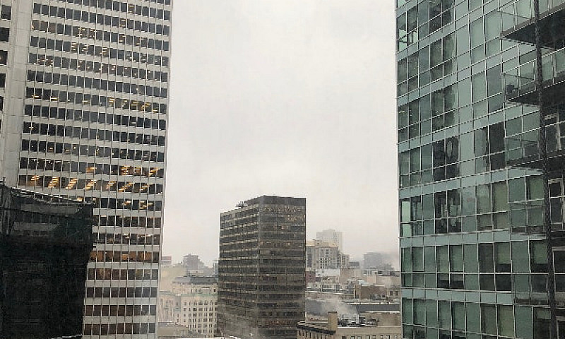 Un 31/2 Au Centre Vi...