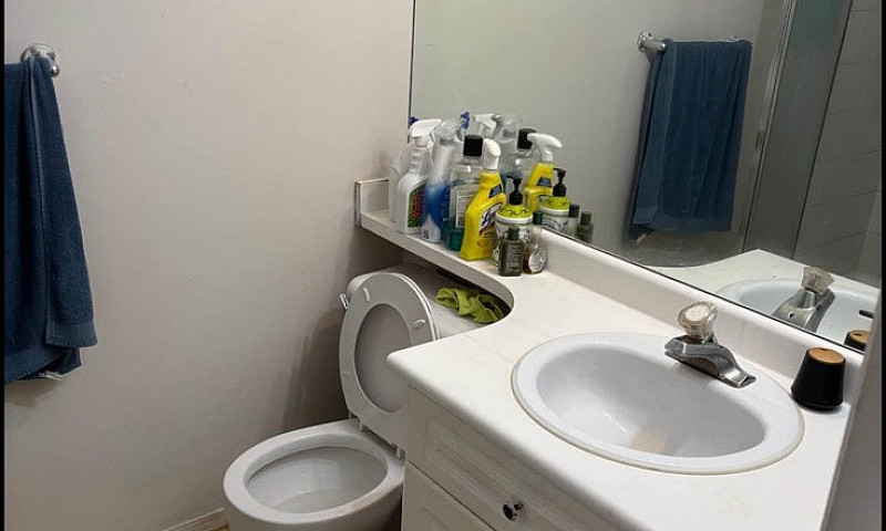 Apartment...
