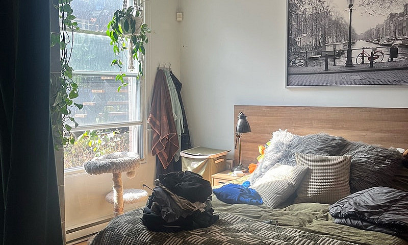 Appartement 3 1/2 À ...