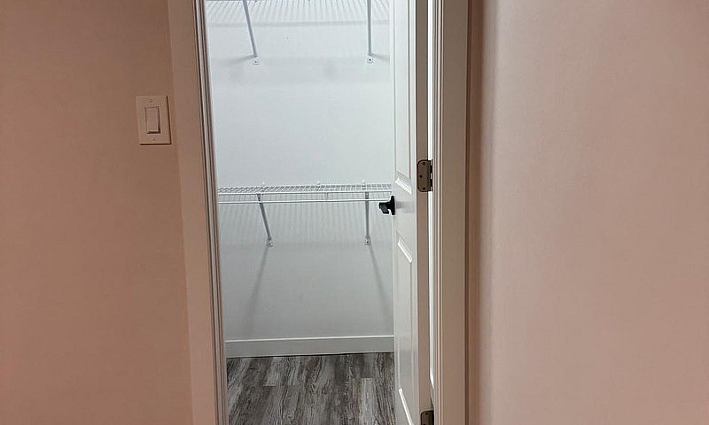 One Bedroom Basement...