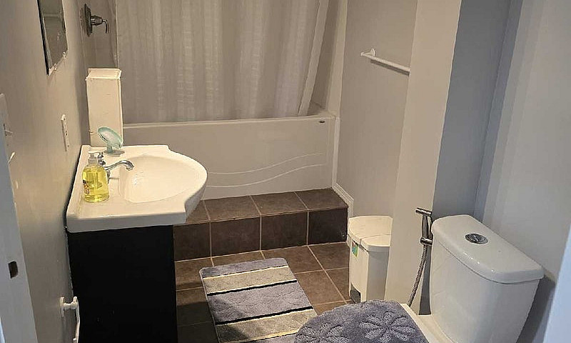 Basement For Rent Av...