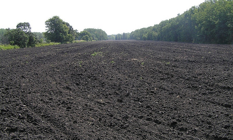 8 Acres St Andrews V...