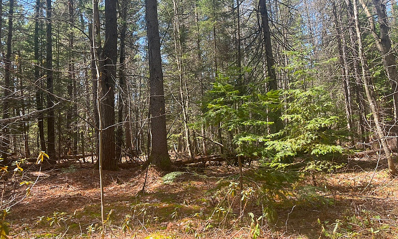 Majestic 13 Acre Par...