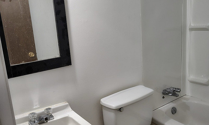 1Br 1Ba In Rosemont ...