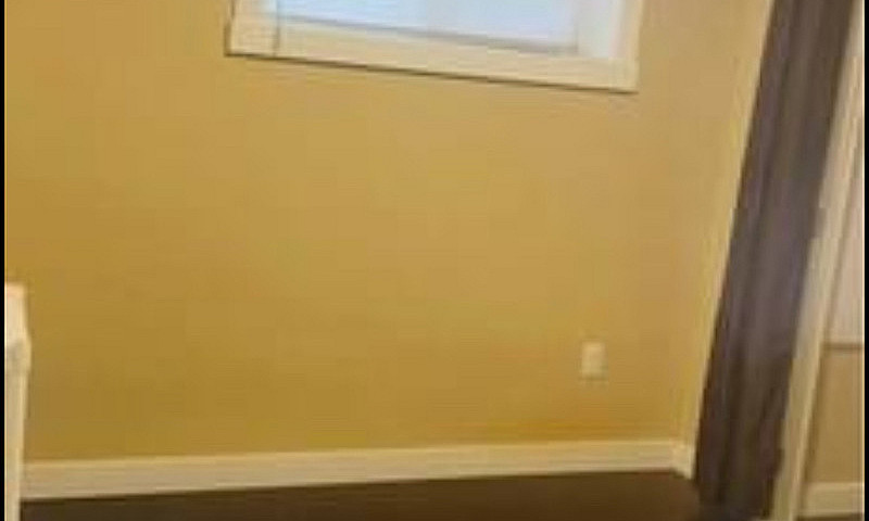 Basement For Rent In...