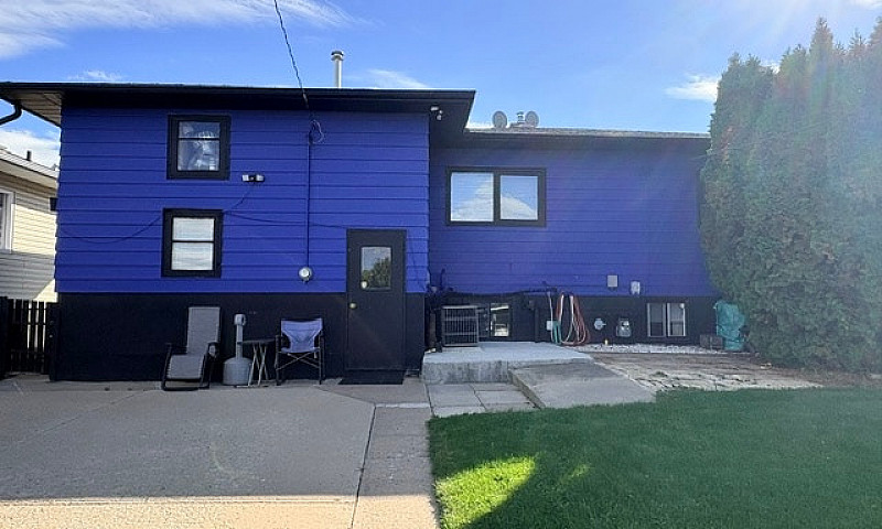 Bachelor Basement Su...