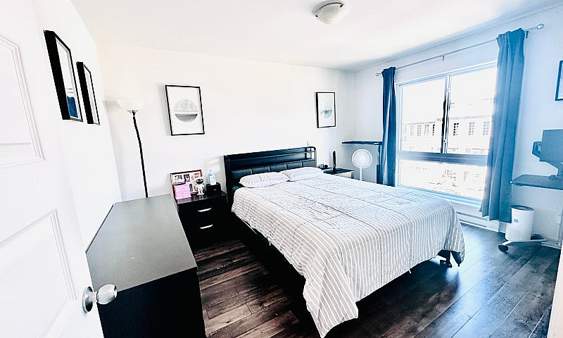 Spacious 3-Bedroom C...
