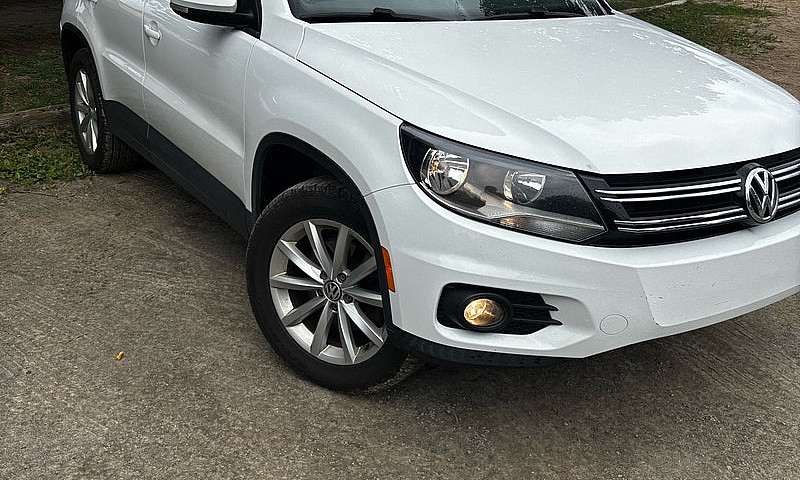 Vw Tiguan 2017 Wolfs...