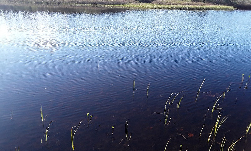 2 Acres Off Red Rock...