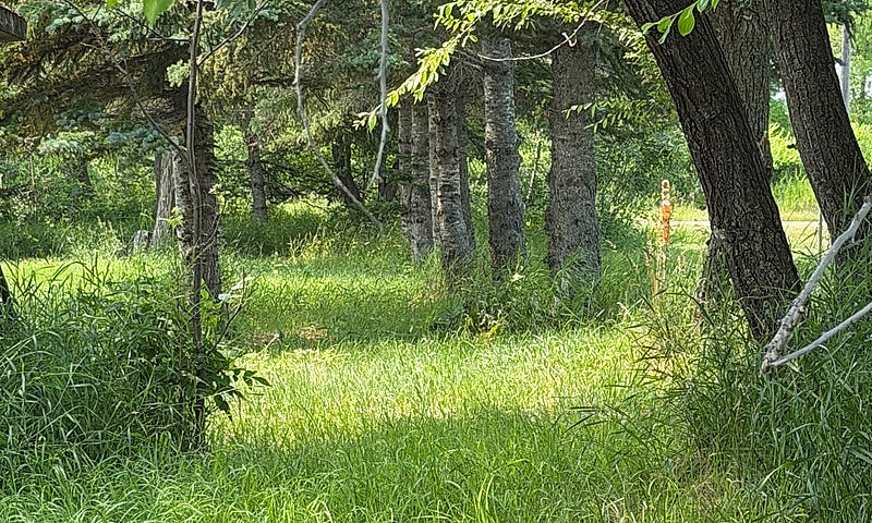 Acreage For Sale...