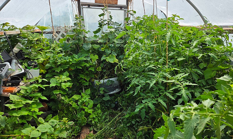 Ohato 3 Bedroom On D...
