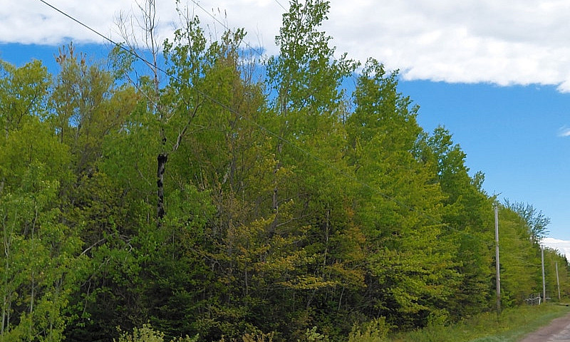Land For Sale  Of +/...