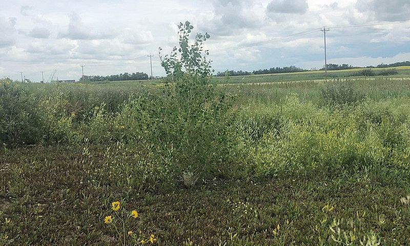 Acreage Minutes From...
