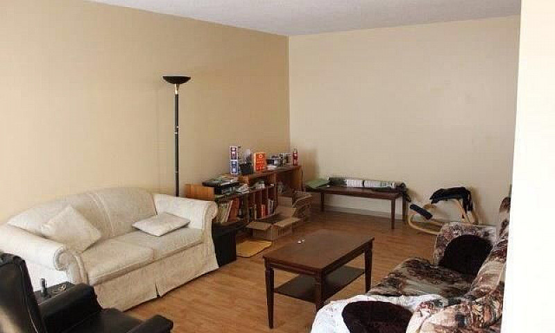 Bach, 1 Bdrm And 2 B...