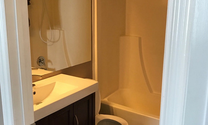 ***Newly*** Renovate...