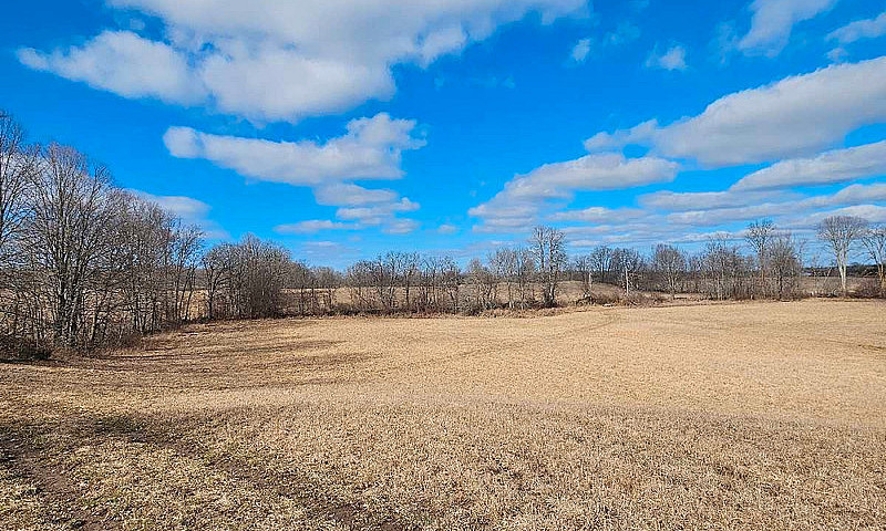 19.5 Acres Available...