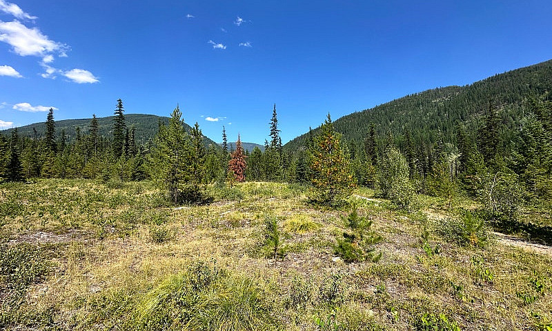 Gold/Placer Claim ...