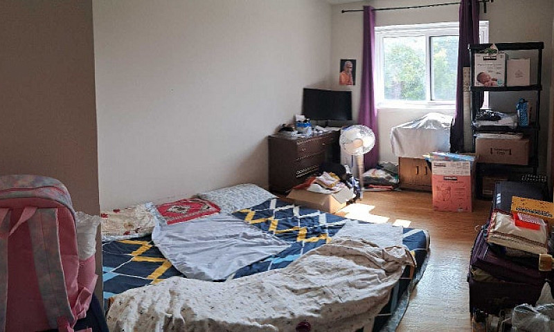 1-Bedroom Apartment ...
