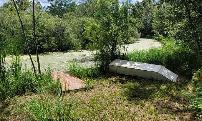 Hobby Farm On 80 Acr...