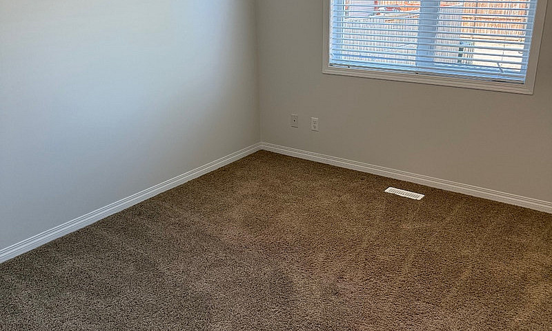 Entire Main Floor Fo...