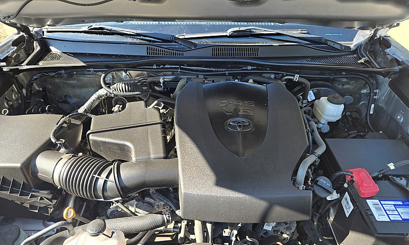 2020 Toyota Tacoma V...