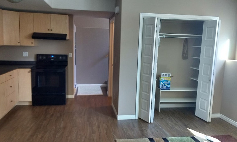 Legal Basement Suite...