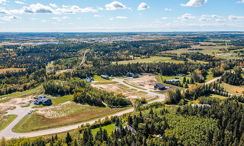 1.25 Acres In Burban...