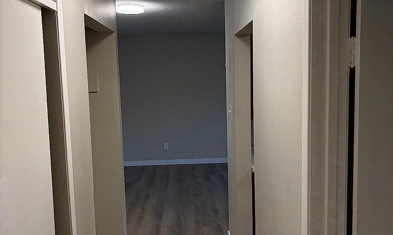 1 Bedroom Apartment ...