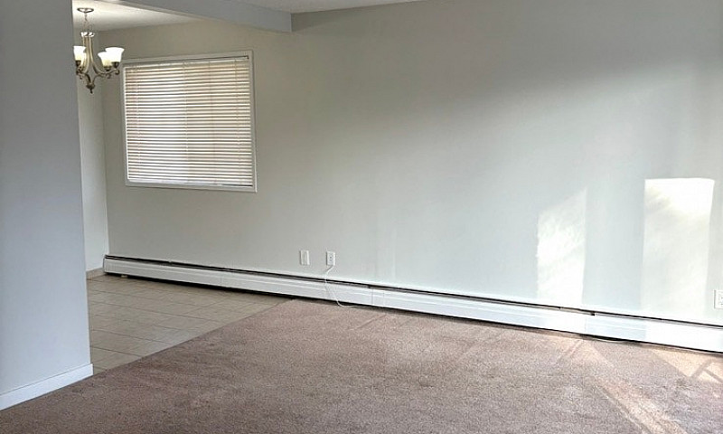Bowtrail 1Bdrm Apart...
