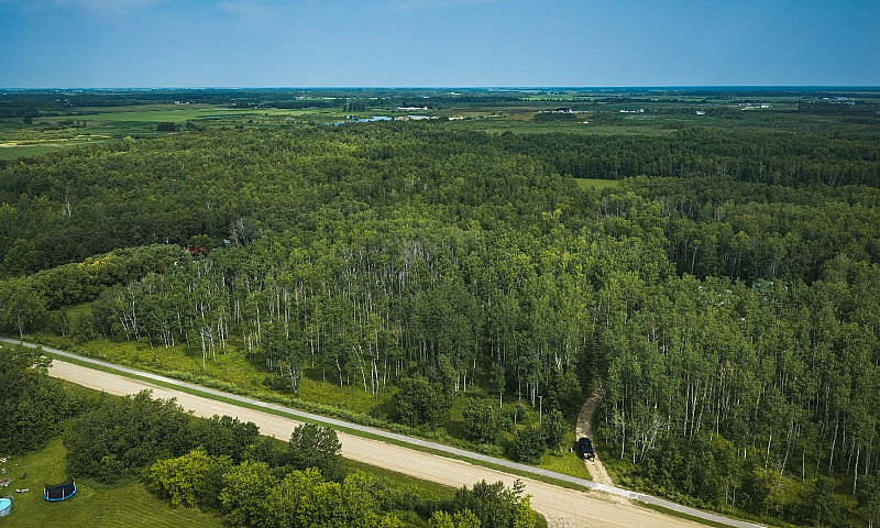 6.45 Acre Treed Lot...