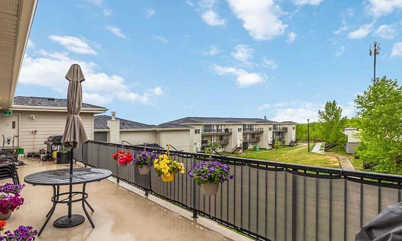 3 Bedroom Apartment ...
