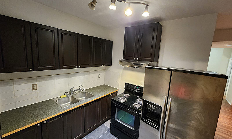 Spacious Walkout 2 B...