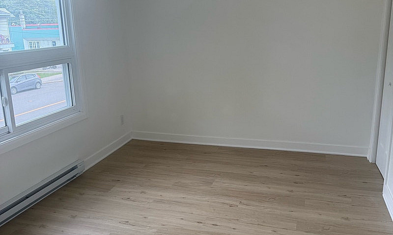 Logement 4-1/2 À Lou...