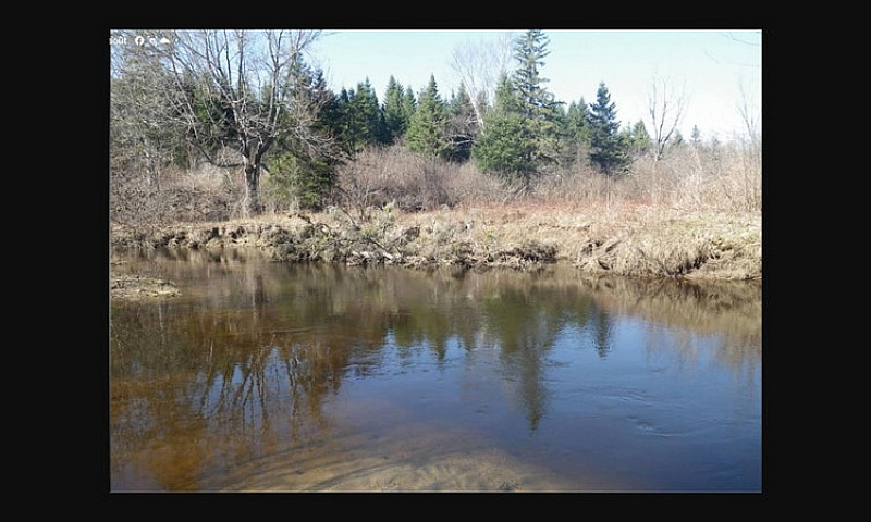 Riverfront Land For ...