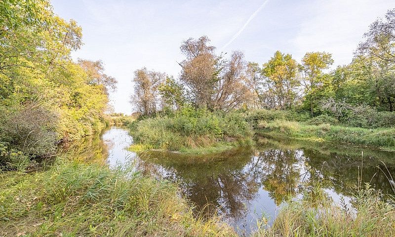 Seasonal Site Near S...