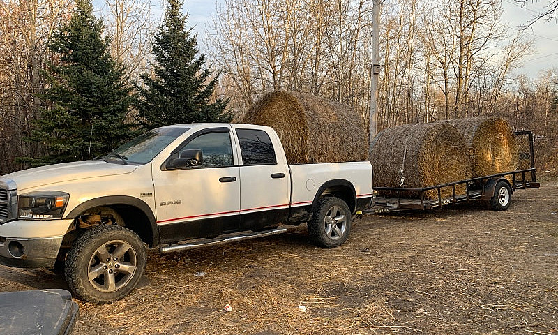 Dodge Ram 1500, Wint...