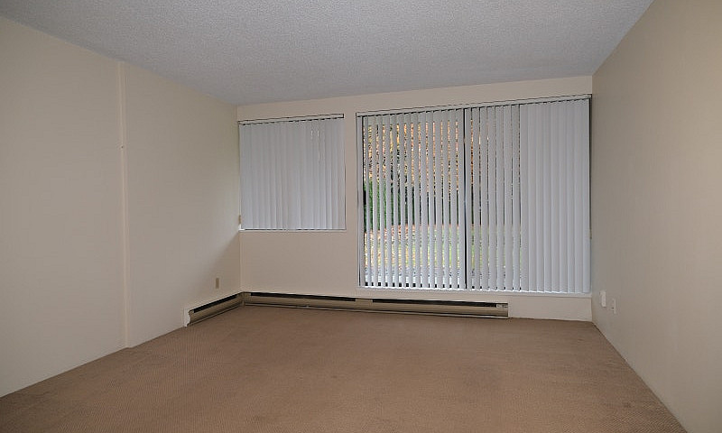 One Bedroom Apartmen...
