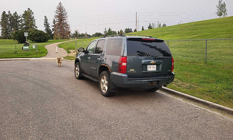 Chevrolet Tahoe...