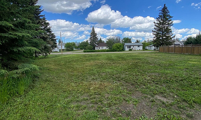 Double Lot In Spring...