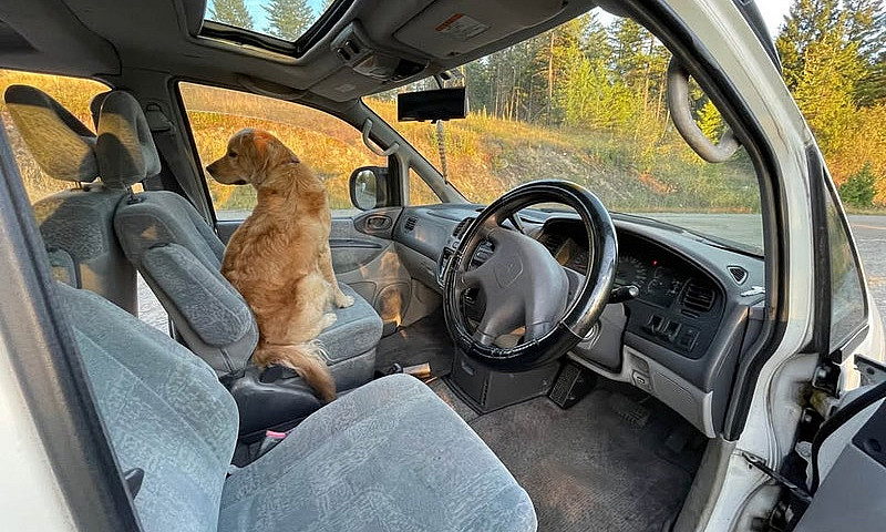 Mitsubishi Delica L4...