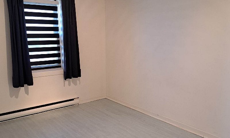 1 Bedroom Apartment ...