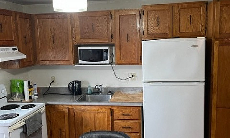 3 1/2 For Rent In Pi...